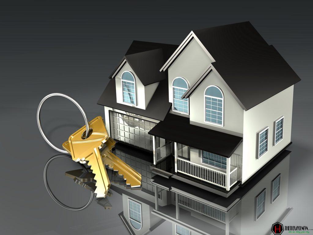 Giới Thiệu Về TÂN HÙNG CƯỜNG 8 xay dung nha o