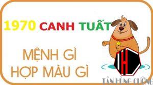 Tuổi Canh Tuất hợp màu gì? Xung khắc màu gì cần biết 11 1970 nen son nha mau gi