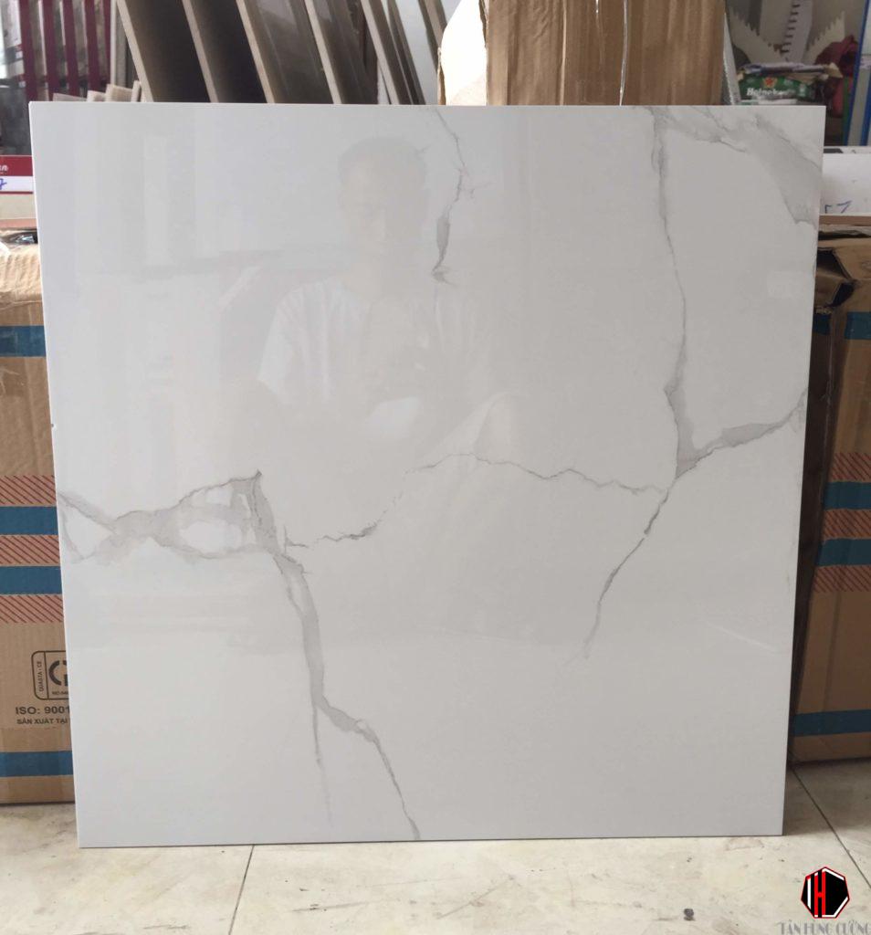 tam-pvc-mau-trang tam pvc mau trang