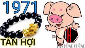 tuổi tân hợi nên sơn nhà màu gì?