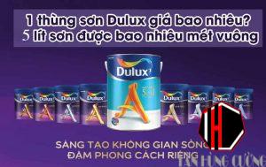 1 thung son bao nhieu m2