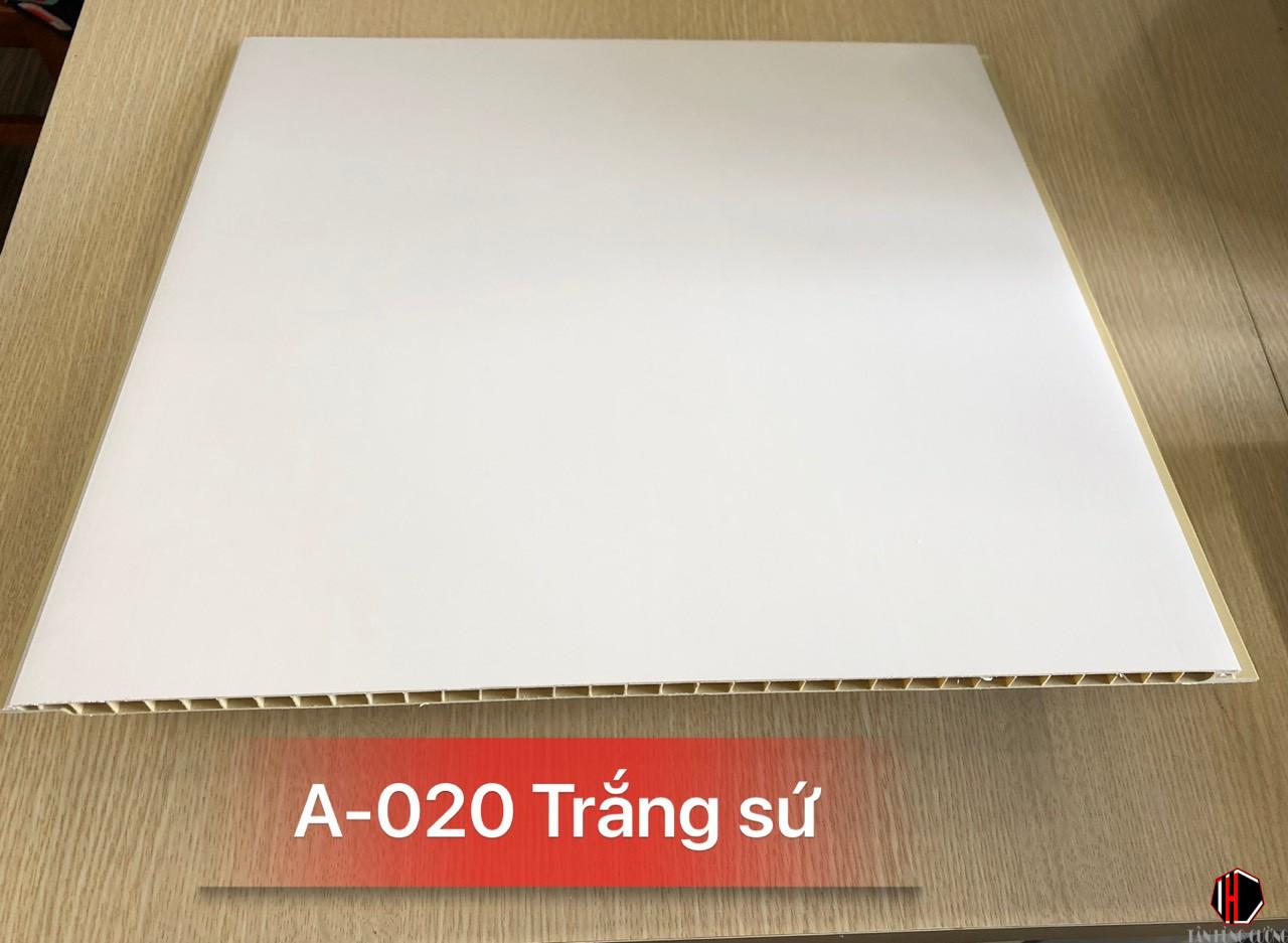 Mẫu tấm nhựa ốp tường pvc màu trắng được Ưa chuộng 2024