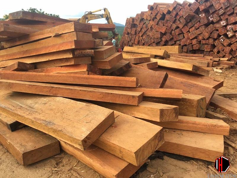 Gỗ lim là gỗ gì Đặc điểm, mức giá và ứng dụng trong trang trí nội thất Gỗ lim là gỗ gì Đặc điểm, mức giá và ứng dụng trong trang trí nội thất