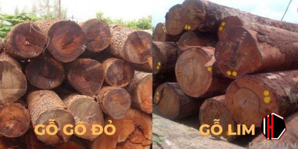 Gỗ lim là gỗ gì Đặc điểm, mức giá và ứng dụng trong trang trí nội thất Gỗ lim là gỗ gì Đặc điểm, mức giá và ứng dụng trong trang trí nội thất