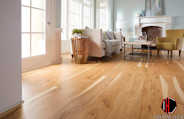 Gỗ Sồi là gỗ gì? Ưu điểm và Ứng dụng trong trang trí Nội Thất